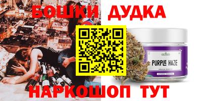 PSILOCYBIN Можга