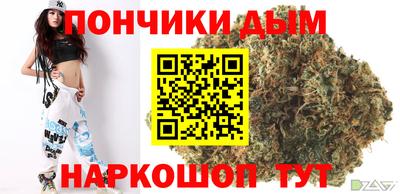 PSILOCYBIN Можга