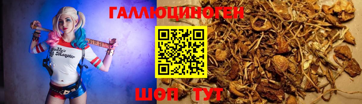 Дмитров  закладка  Галлюциногенные грибы мухоморы  Вход с VPN  Псилоцибиновые грибы мухоморы 