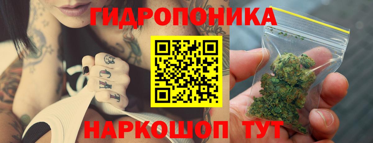 Конопля SATIVA & INDICA Дмитров